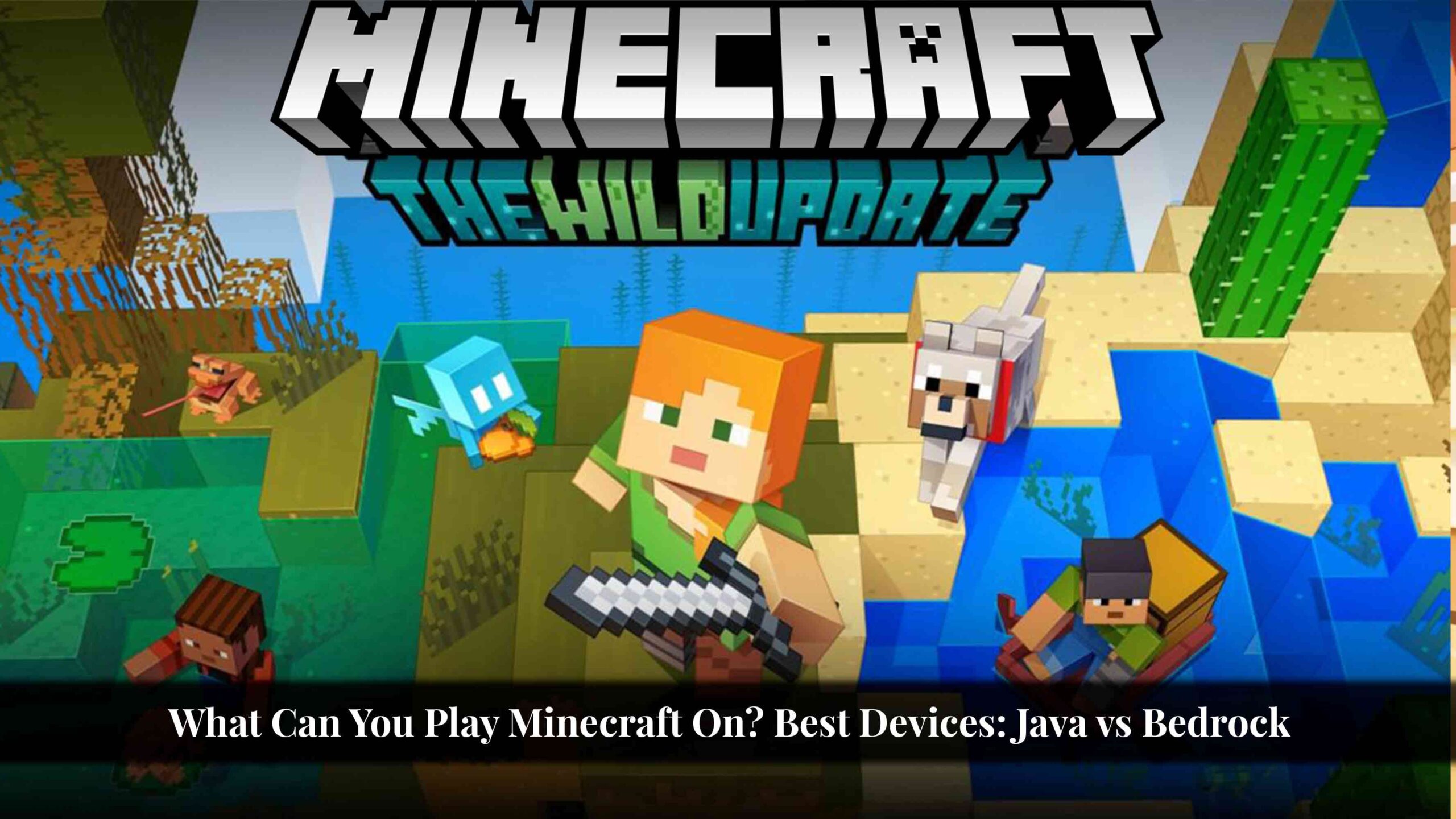 what can you play minecraft on