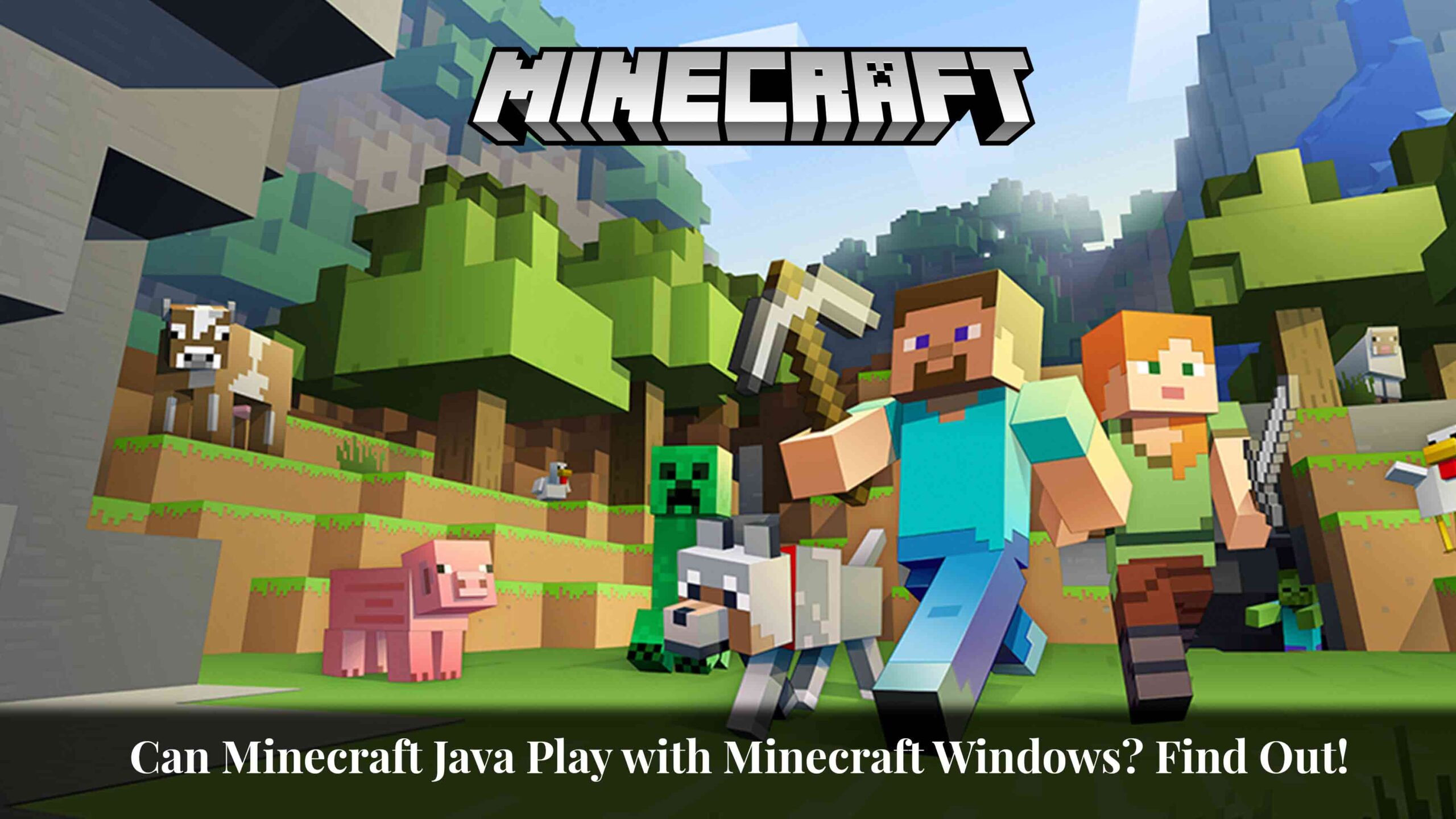 can minecraft java play with minecraft windows