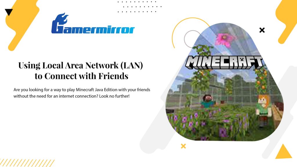 Using Local Area Network (LAN) to Connect with Friends